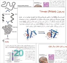 دانلود پاورپوینت پریون - سـاختار پریون و بیماری های پریونـی